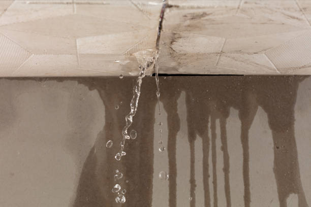 Professional Burst Pipe Cleanup technician working in Lodi, WI